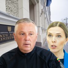 Politologė: politikai dabar paskelbė planą „Vėtra“, kuris bando ištaškyti visus aplinkui