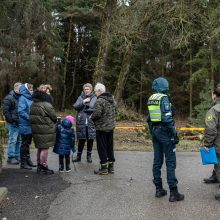 Įžūlumui ribų nėra: pasinaudoję šventėmis į Radikius grįžo nelegalūs medžių kirtėjai? 