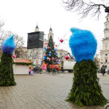 Prieš įžiebimą: ant pagrindinės Kauno eglės dėliojami paskutiniai akcentai!