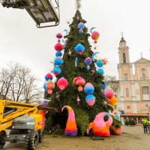 Prieš įžiebimą: ant pagrindinės Kauno eglės dėliojami paskutiniai akcentai!