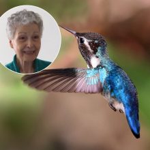 Atrado būdą, kaip vėl džiaugtis gyvenimu: vyro netektį ir vėžį įveikti padėjo kolibriai