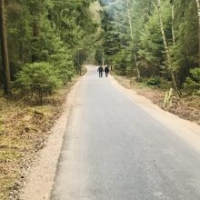 Geros žinios: atnaujinamas pėsčiųjų-dviračių takas Kleboniškio miške