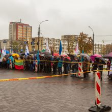 Kauno rajono tarybos sprendimas vienbalsis: V. Matijošaičio planams – „ne“