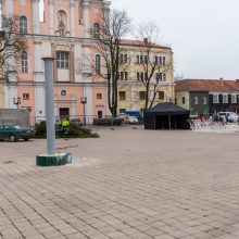 Į Rotušės aikštę atkeliavo Kauno Kalėdų eglė