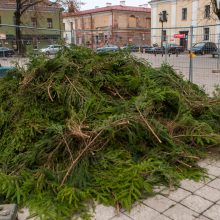 Į Rotušės aikštę atkeliavo Kauno Kalėdų eglė