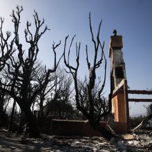 Kalifornijoje miškų gaisrų aukų skaičius pasiekė pusšimtį