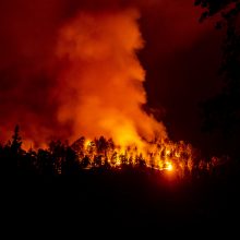 Kalifornijos gubernatorius: gaisrus skatina klimato kaita