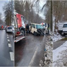 Sukrečianti kaktomuša pakaunėje: šiurpūs jos padariniai su slidžia kelio danga nesusiję?