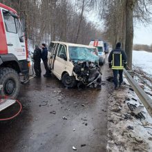 Sukrečianti kaktomuša pakaunėje: ieškomi žmogų pražudžiusios avarijos liudininkai