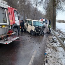 Sukrečianti kaktomuša pakaunėje: ieškomi žmogų pražudžiusios avarijos liudininkai