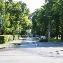 Vydūno alėjos gyventojai skundžiasi dėl intensyvaus eismo: kasdien laidojame ežiukus ir voveraites