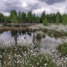 Pakaunės turizmas išgyveno renesansą: nuo žygių iki sveikatinimo užsiėmimų