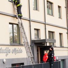 Skandalingojo šturmo byla: nakties vaiduoklis Asilo neišgelbėjo – įkalinamas 4 metams