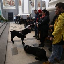 Šv. Mišiose Kaune dalyvavo šunys