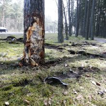 Tragedija Klaipėdoje: P. Lideikio g. žuvo jaunas vairuotojas