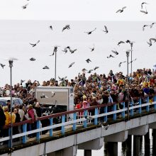 Didžiausias šalies kurortas skelbia: visi keliai veda į Palangą!