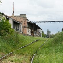 V. Romanovo turtas slysta į EBSW palikuonių rankas?