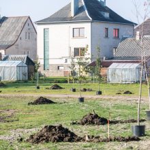 Neeilinė šventė Garliavoje: baigtas sodinti Šimtmečio parkas