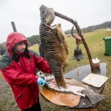 Žiemą Rumšiškėse varė lietus