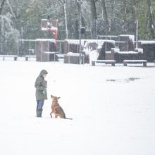 Netikėta: gegužės rytą į Lietuvą grįžo balta žiema