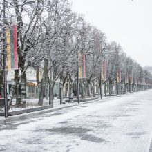 Žiema dar nenori trauktis: pavasarišką saulę Kaune pakeitė sniegas