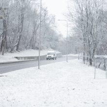 Žiema dar nenori trauktis: pavasarišką saulę Kaune pakeitė sniegas