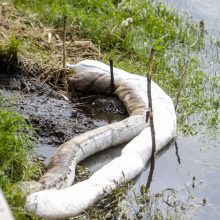 Nemuno tarša Žemuosiuose Šančiuose: aplinkosaugininkai įvardijo, ką rado ir kas kaltas