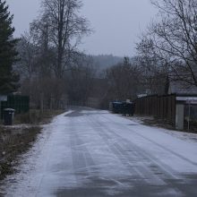 Buvęs ministras R. Masiulis: labai gaila, kad iki šito nusiritome