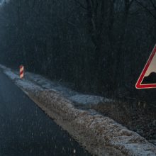 Buvęs ministras R. Masiulis: labai gaila, kad iki šito nusiritome