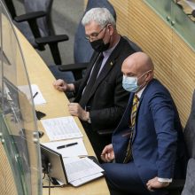 Seimas po audringų diskusijų patvirtino kitų metų valstybės biudžetą