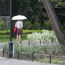 Sostinėje atidaromas atnaujintas Reformatų sodas