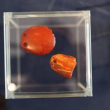 Kretingos muziejus sieks savo nuosavybėn atgauti grafienės dovanotą gintaro kolekciją