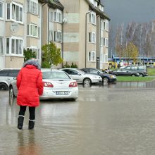 Ekstremali situacija Kretingoje: net aplinkosaugininkai stveriasi už galvų