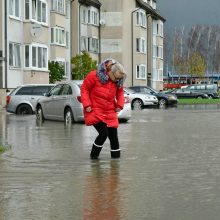 Ekstremali situacija Kretingoje: net aplinkosaugininkai stveriasi už galvų