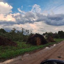 Lietuvą siaubė audra: virto medžiai, skendo gatvės, stoguose – skylės