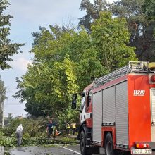 Ignalinoje praūžė audra: apsemtos gatvės, nutraukti elektros laidai