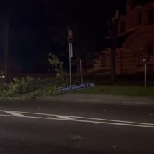 Per Lietuvą slenka audra: kai kur iškrito didžiuliai krušos ledėkai