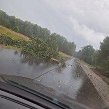 Per Lietuvą slenka audra: kai kur iškrito didžiuliai krušos ledėkai