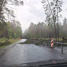 Lietuvą siaubė audra: virto medžiai, skendo gatvės, stoguose – skylės