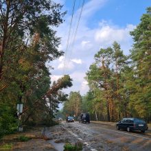 Lietuvą siaubė audra: virto medžiai, skendo gatvės, stoguose – skylės