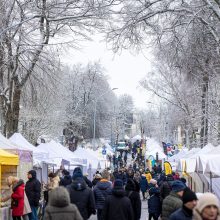 Stintų šventė Palangoje: kainos akį rėžė, bet valgytojų netrūko