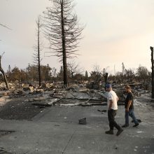 Kalifornijoje siaučiantys gaisrai nusinešė jau 31 žmogaus gyvybę  