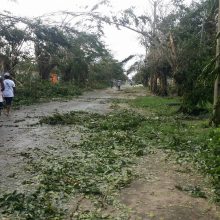 Madagaskare ciklono aukų skaičius išaugo iki 51