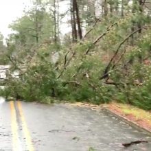 Alabamoje siautėjo mažiausiai 22 gyvybes nusinešęs tornadas