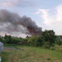 Ugniagesiai skubėjo į Šlienavą: degė namas