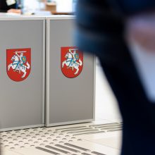 VRK: savivaldos rinkimuose balsuoti gali per 21 tūkst. užsienio piliečių