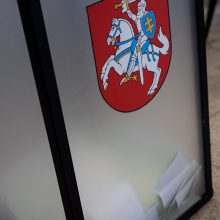 VRK registruos kandidatus rinkimuose į Seimą laisvoje Raseinių-Kėdainių apygardoje