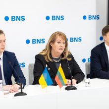 S. Skvernelis: rinkimų rezultatai – geri, bet galėjo būti ir geresni