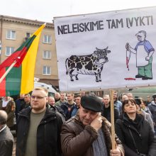 Prie Seimo 1 tūkst. pieno gamintojų reikalauja paramos, K. Navicko pasitraukimo