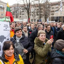 Prie Seimo 1 tūkst. pieno gamintojų reikalauja paramos, K. Navicko pasitraukimo